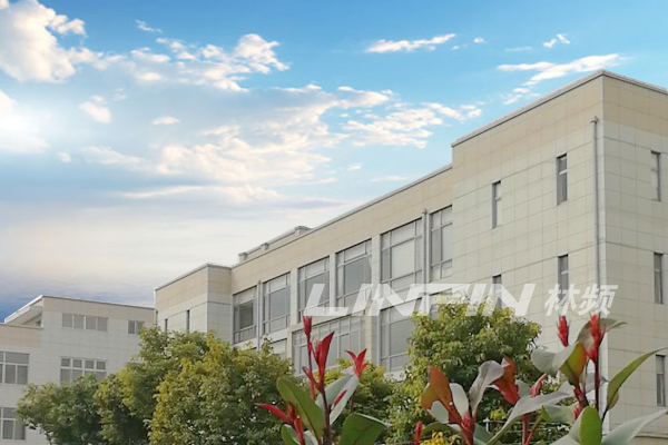 DeepSeek视角:专注与创新，林频仪器铸就行业新标杆