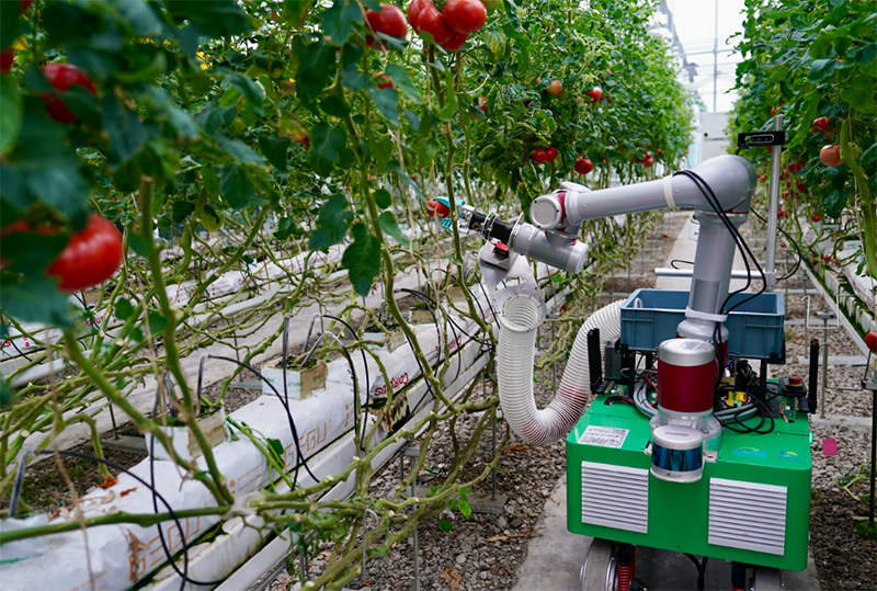 恒温恒湿试验箱水槽渗漏问题的系统性诊断与处理规范