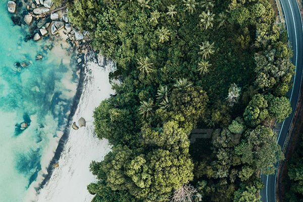 伟思富奇外贸业务蓬勃发展 国际化战略初显成效